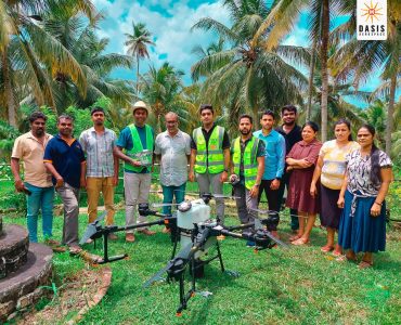 Protecting Coconut Trees from Whitefly Threat - NLDB