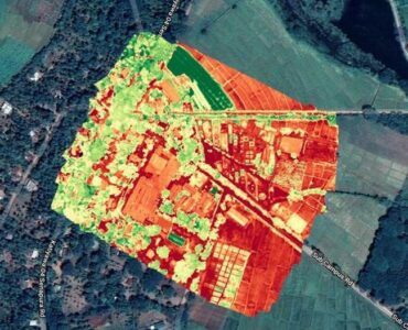 Multispectral Analysis of Paddy Fields of Mahailuppallama